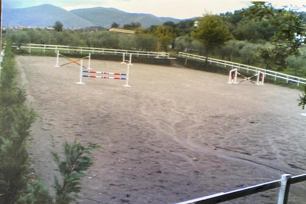 La Tenuta Del Barone SantʼAgata deʼ Goti Eksteriør billede
